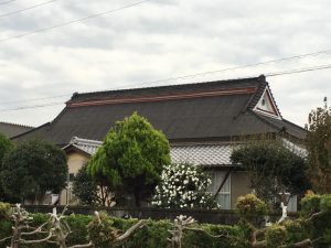 IMG_3333