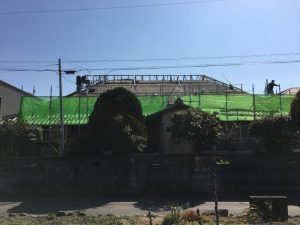 IMG_4398