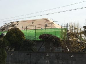 IMG_4437