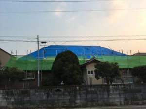 IMG_4460