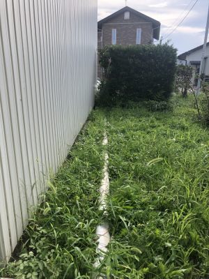 D8DC8A97-F336-4B8E-9E24-6BA3FB51B27B