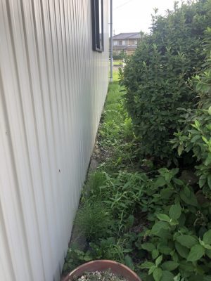 E6589098-9086-429A-A3B7-93C6FECC7EC2