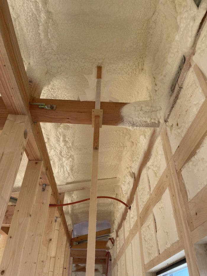 02270463-818E-4D5A-8C4A-E8271DD81F1D