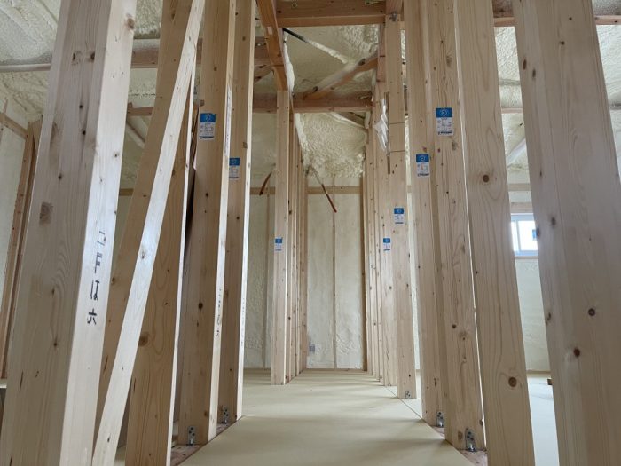 5FB464C0-25EA-4734-BB00-6B67BD76EB3C