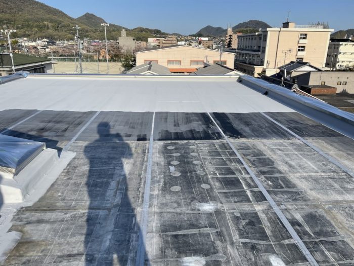 6255299E-A93B-45C2-A497-DB9C8E78ED86